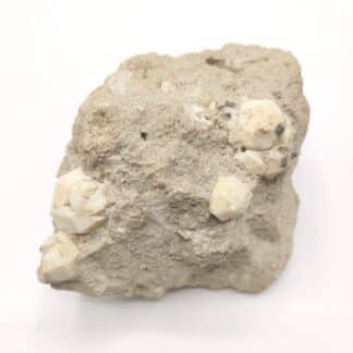Leucite, Parco Chigi, Ariccia, Italie.