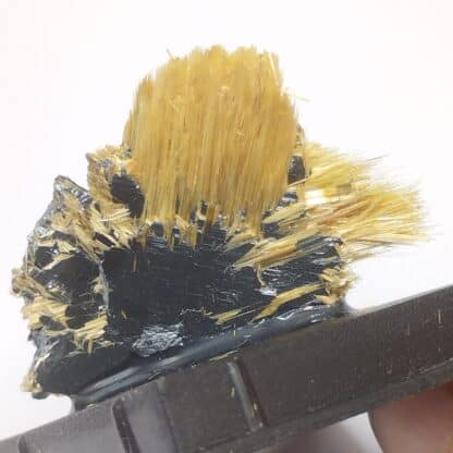 Rutile & Hématite, Novo Horizonte, Bahia, Brésil.