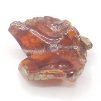 Ambre, Chevrières, Oise.