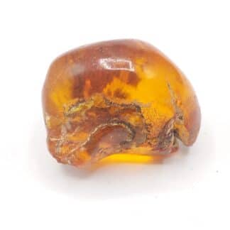 Ambre, Carrière Lafarge, Chevrières, Oise.