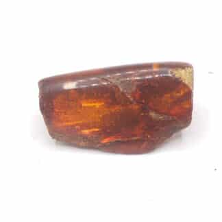 Ambre, Chevrières, Oise.