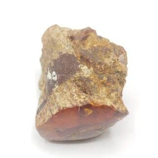Ambre, Carrières Lafarge, Chevrières, Oise.