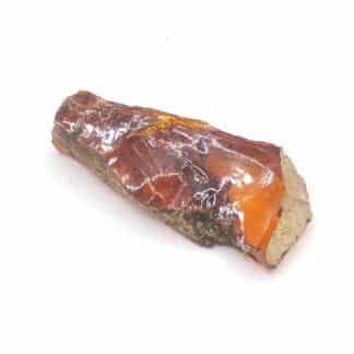 Ambre, Carrières de Chevrières, Oise.
