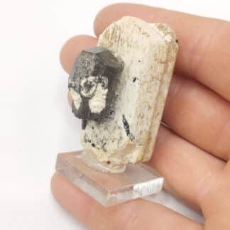 Schorl (Tourmaline) & Orthose, Erongo, Namibie.
