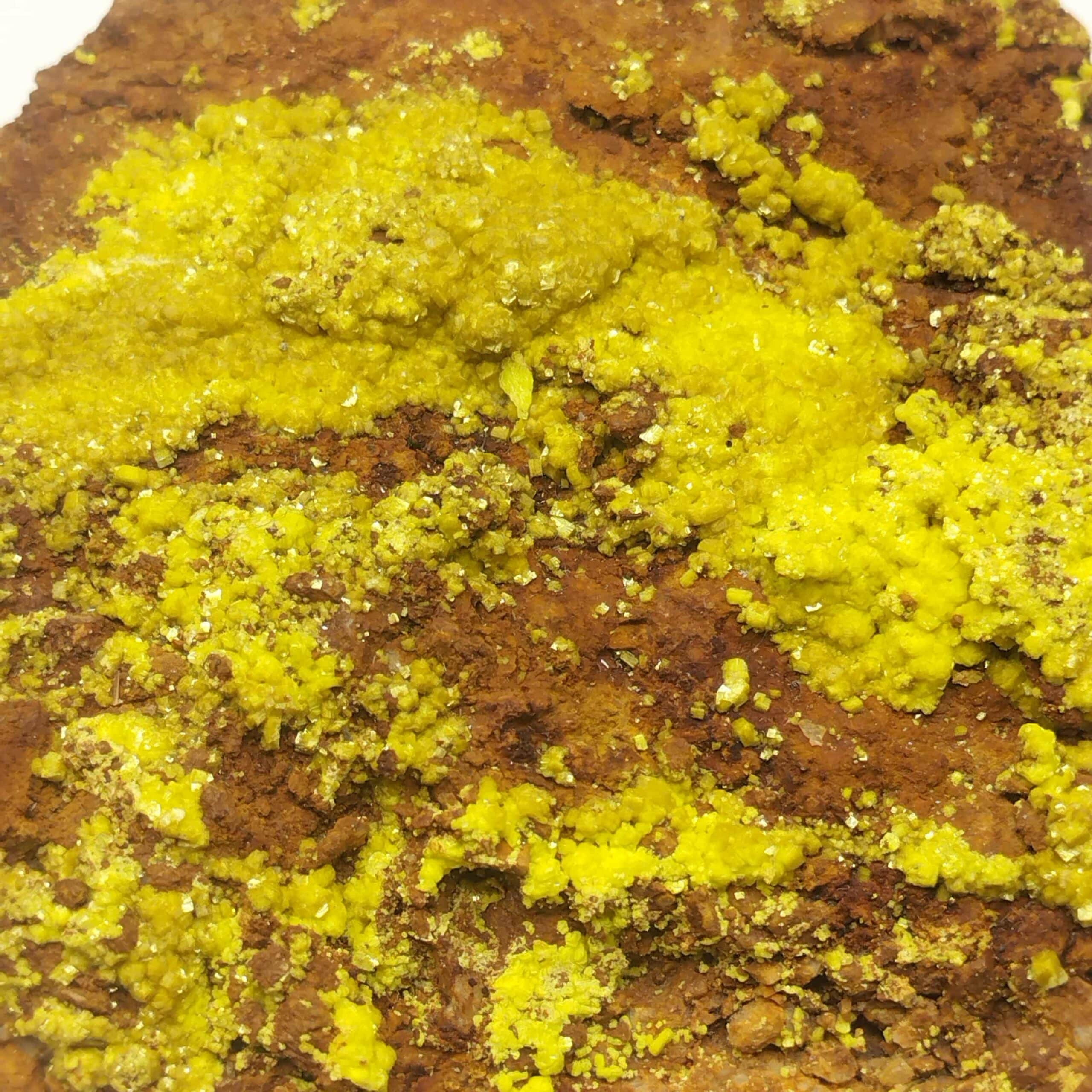 Autunite, Vénachat, Monts d’Ambazac, Haute-Vienne.