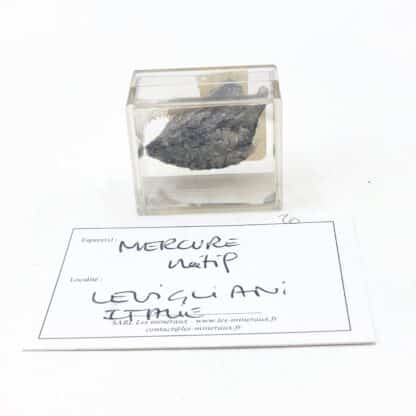 Mercure natif, Mine de Levigliani, Stazzema, Toscane, Italie.