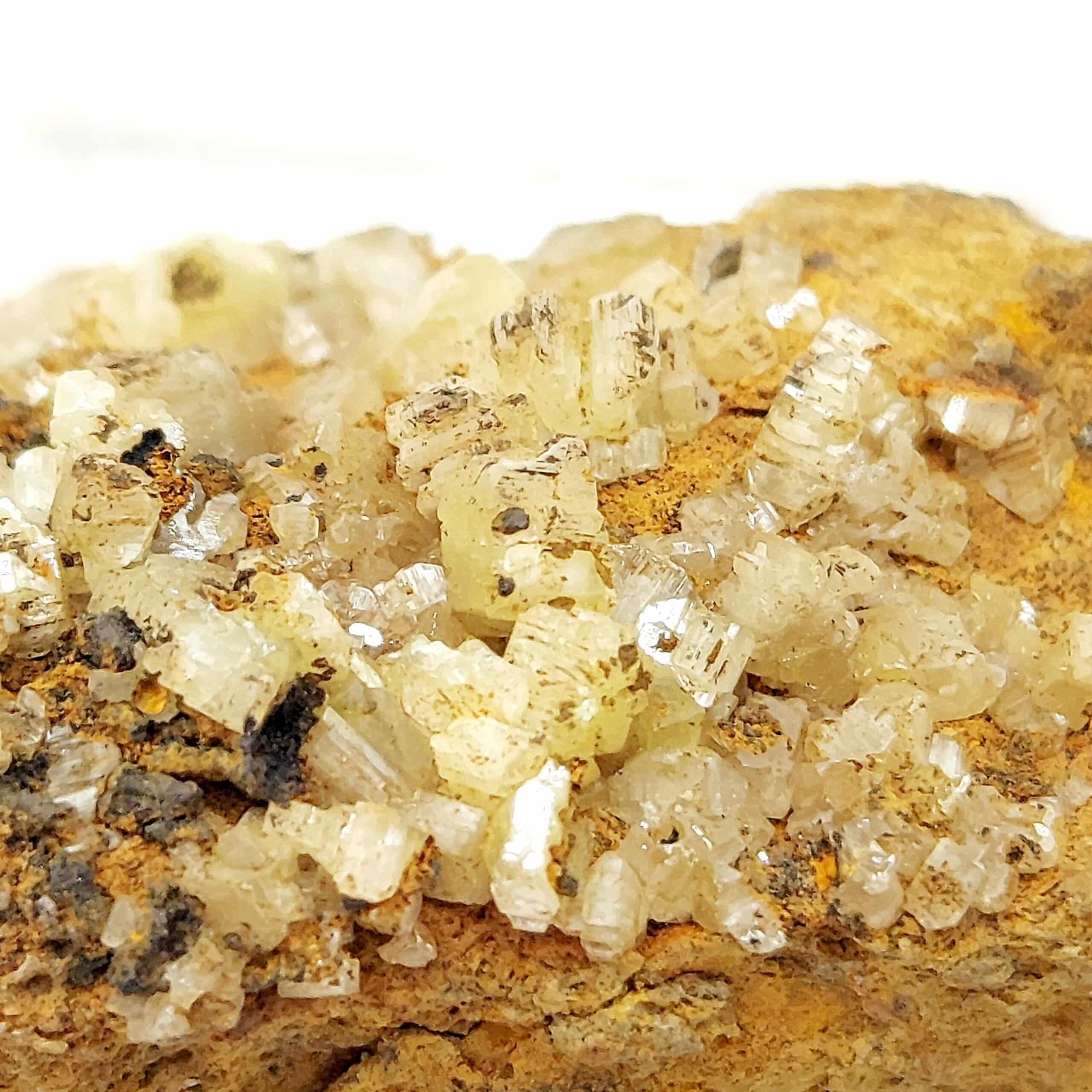 Chrome-Cérussite, Mine Kapi, Dundas Nord, Tasmanie, Australie.