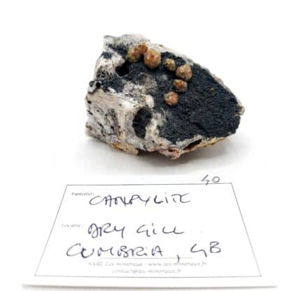 Campylite, Dry Gill, Allerdale, Cumbria, Royaume-Uni.