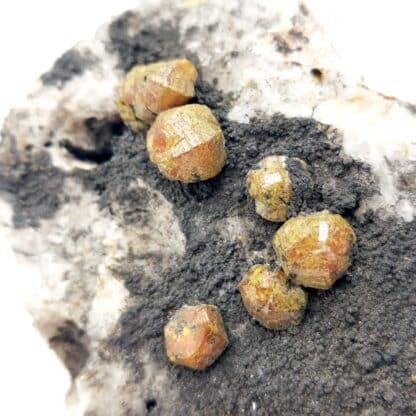 Campylite, Dry Gill, Allerdale, Cumbria, Royaume-Uni.