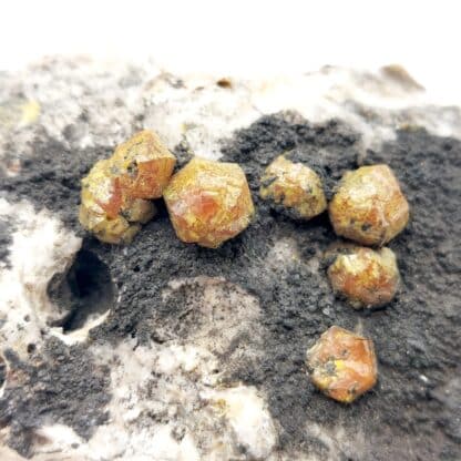 Campylite, Dry Gill, Allerdale, Cumbria, Royaume-Uni.