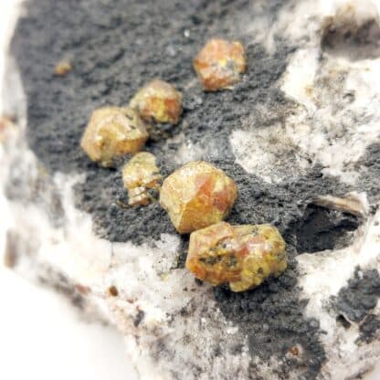 Campylite, Dry Gill, Allerdale, Cumbria, Royaume-Uni.