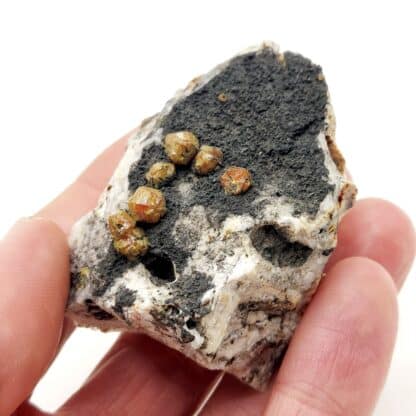 Campylite, Dry Gill, Allerdale, Cumbria, Royaume-Uni.