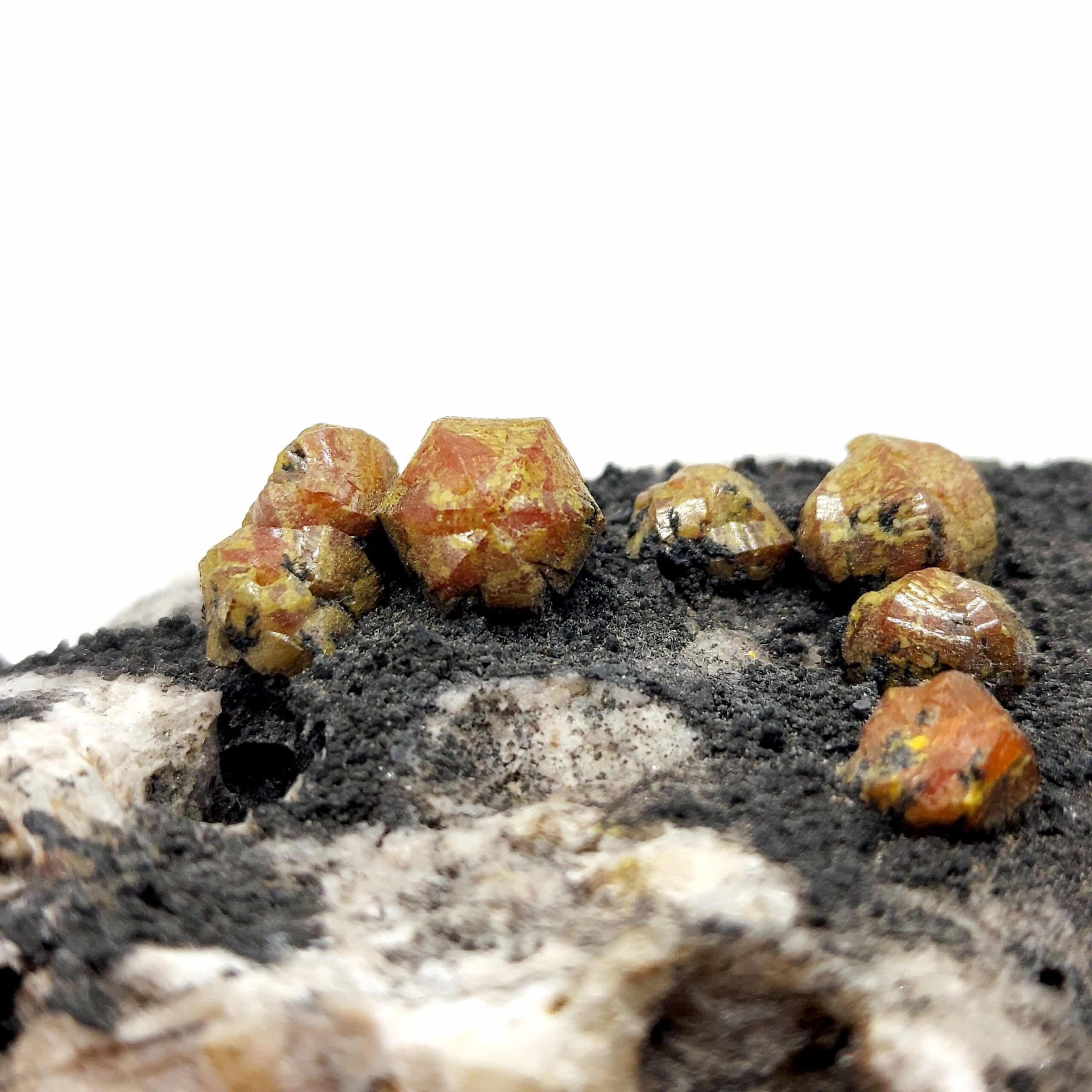 Campylite, Dry Gill, Allerdale, Cumbria, Royaume-Uni.