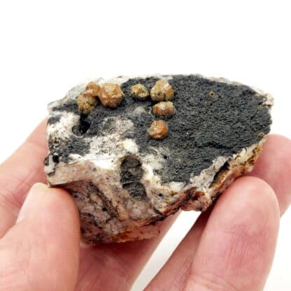 Campylite, Dry Gill, Allerdale, Cumbria, Royaume-Uni.