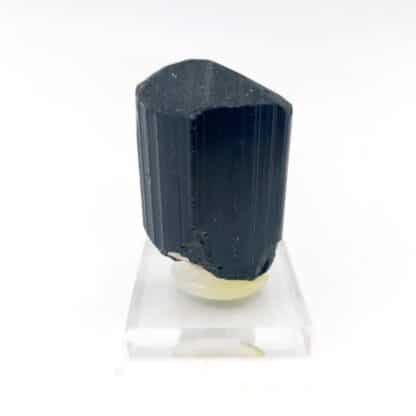 Tourmaline Schorl, Teófilo Otoni, Minas Gerais, Brésil.