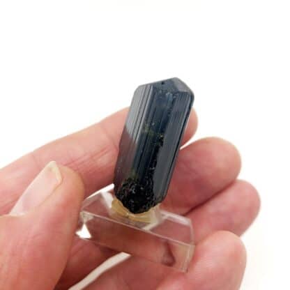 Tourmaline Schorl, Teófilo Otoni, Minas Gerais, Brésil.
