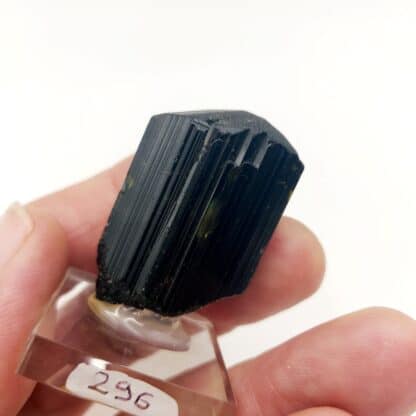 Tourmaline Schorl, Teófilo Otoni, Minas Gerais, Brésil.