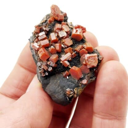 Vanadinite, Taouz, Maroc.