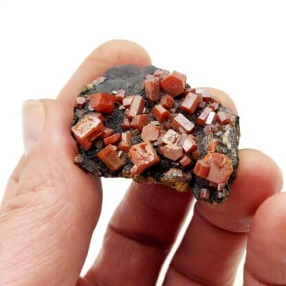 Vanadinite, Taouz, Maroc.