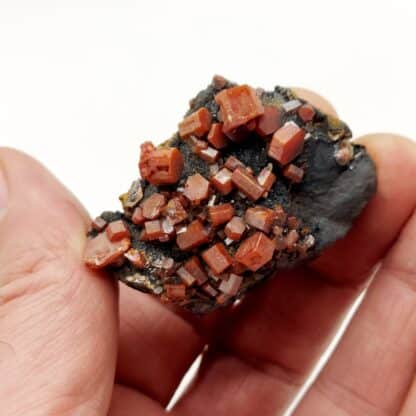 Vanadinite, Taouz, Maroc.
