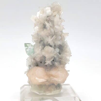 Fluorapophyllite, Stilbite, district de Pune, division de Pune, Maharashtra, Inde.