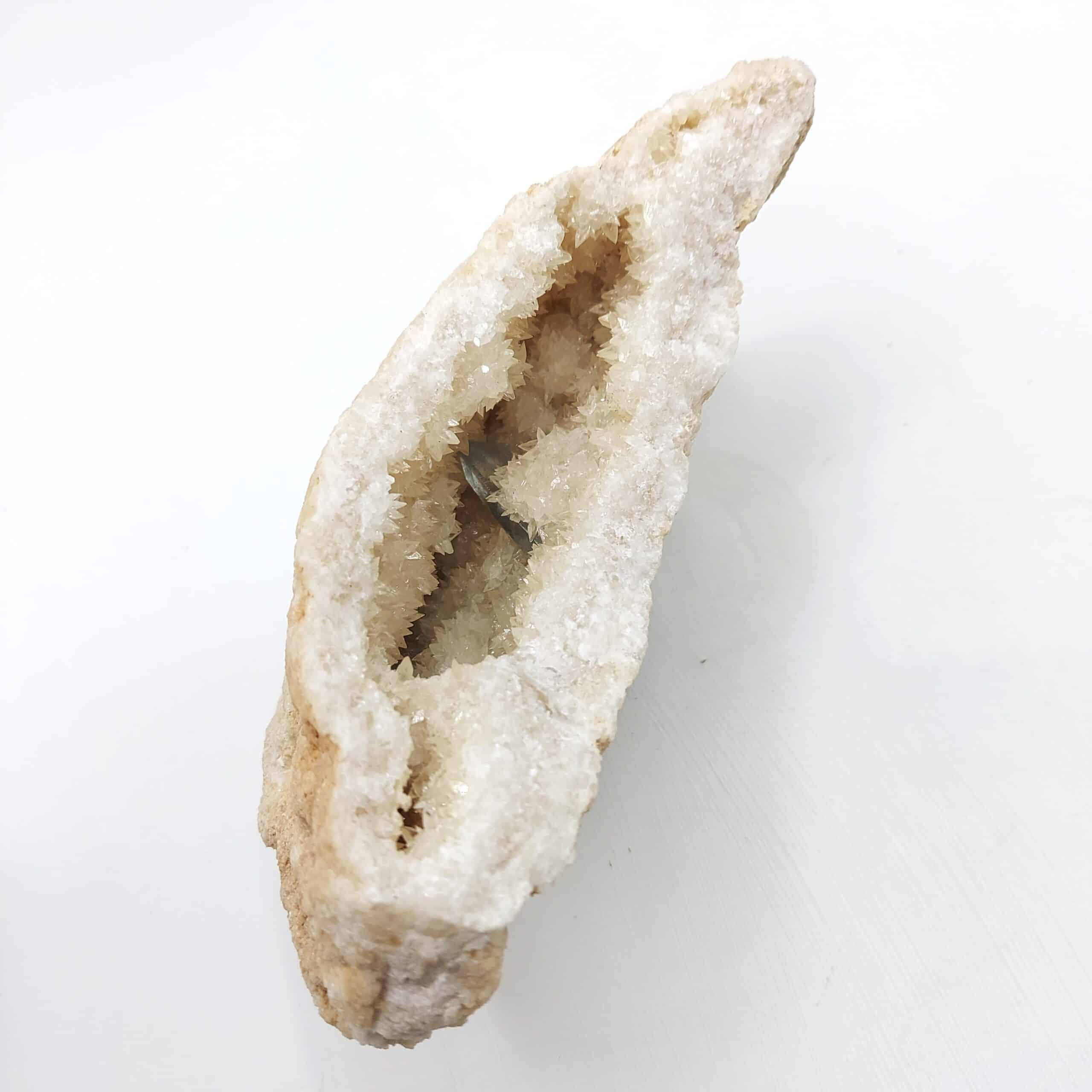 Célestine bleue dans géode de Célestine blanche, Tunisie.