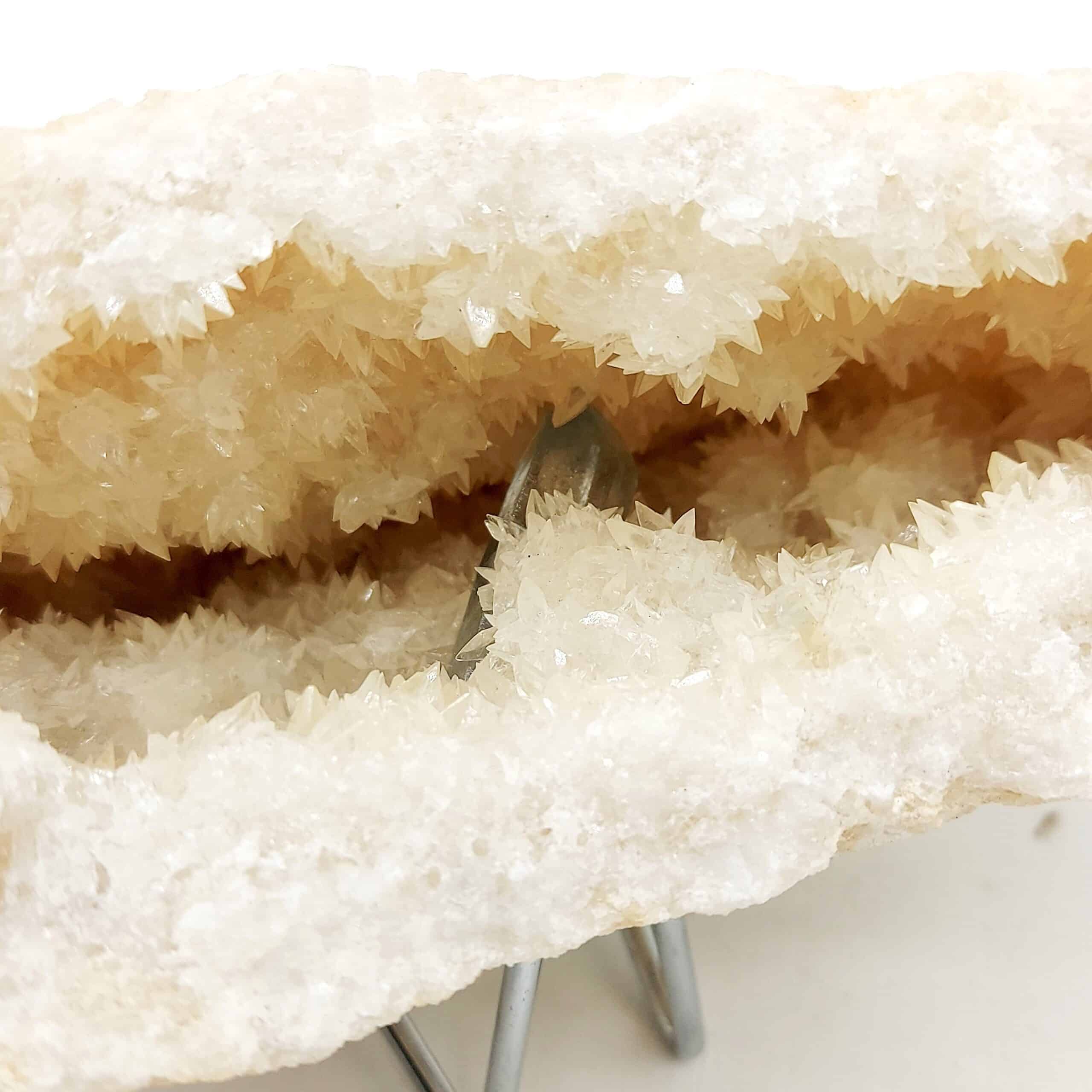 Célestine bleue dans géode de Célestine blanche, Tunisie.