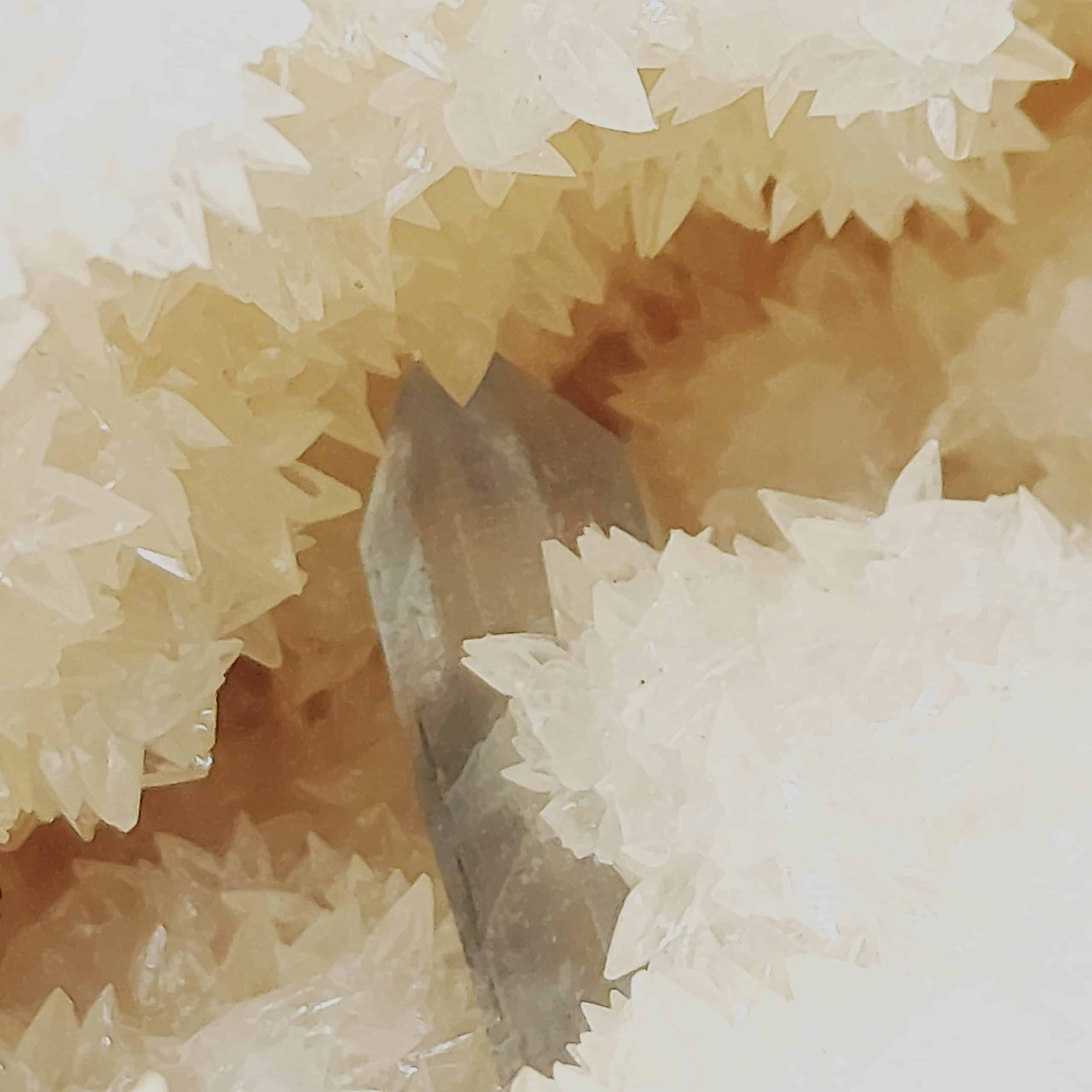 Célestine bleue dans géode de Célestine blanche, Tunisie.