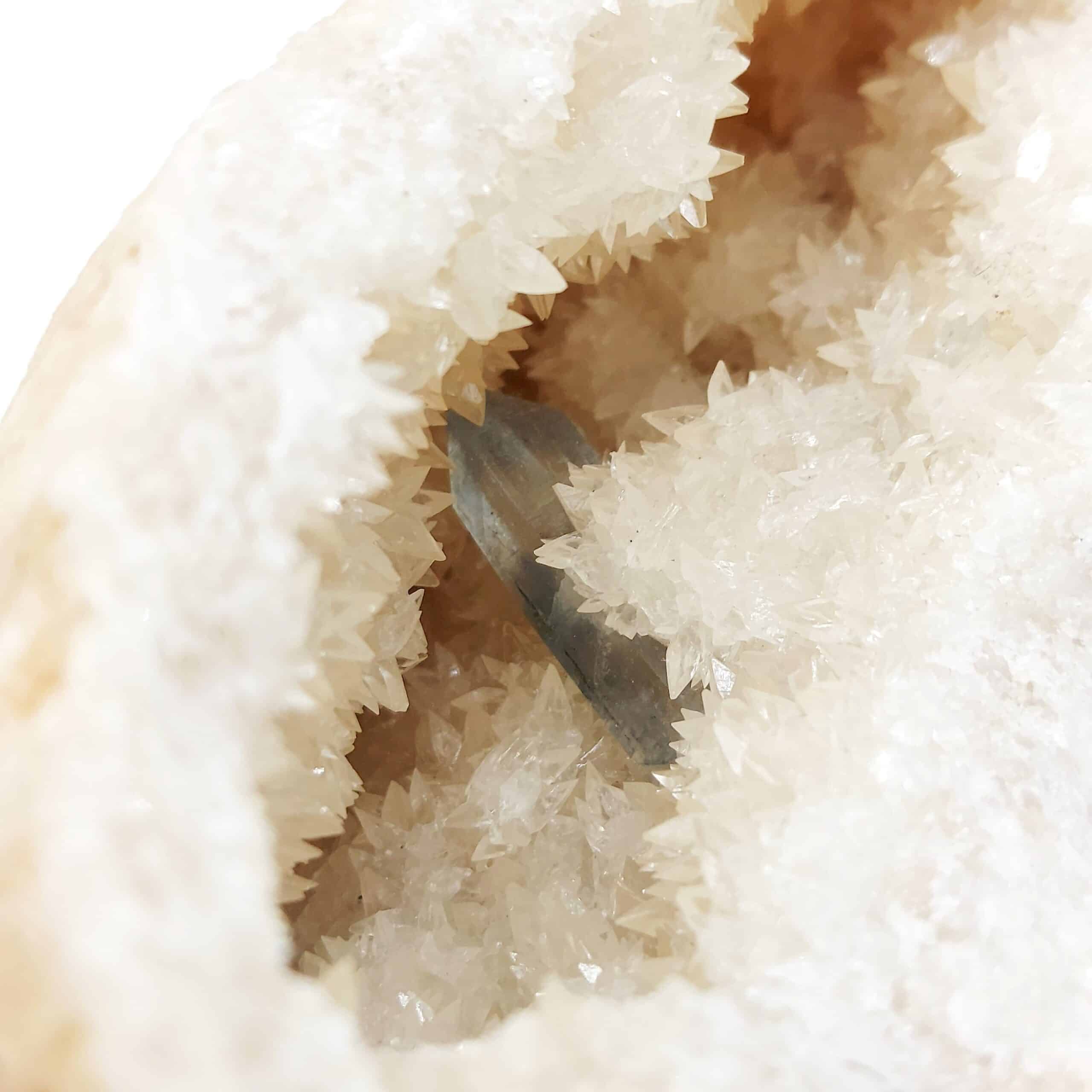 Célestine bleue dans géode de Célestine blanche, Tunisie.