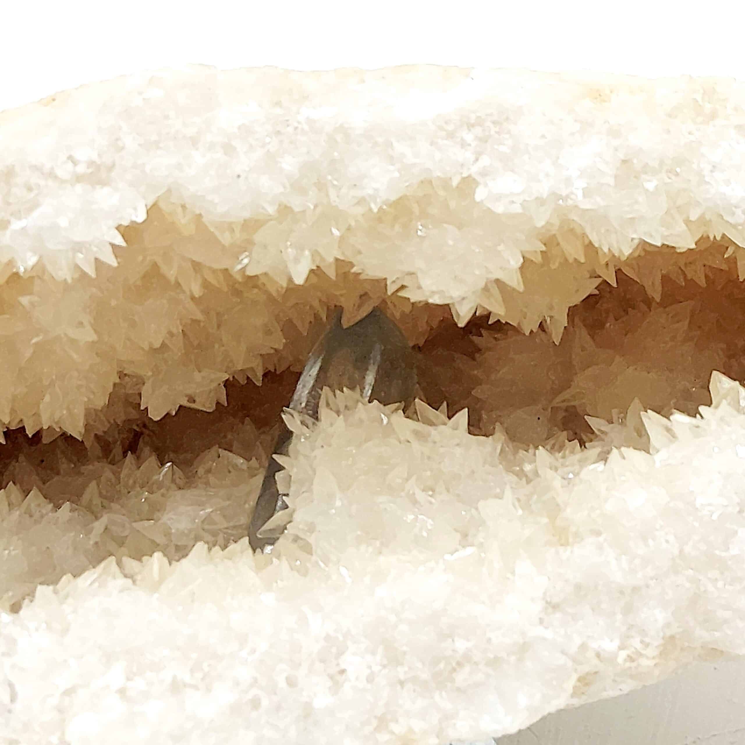 Célestine bleue dans géode de Célestine blanche, Tunisie.