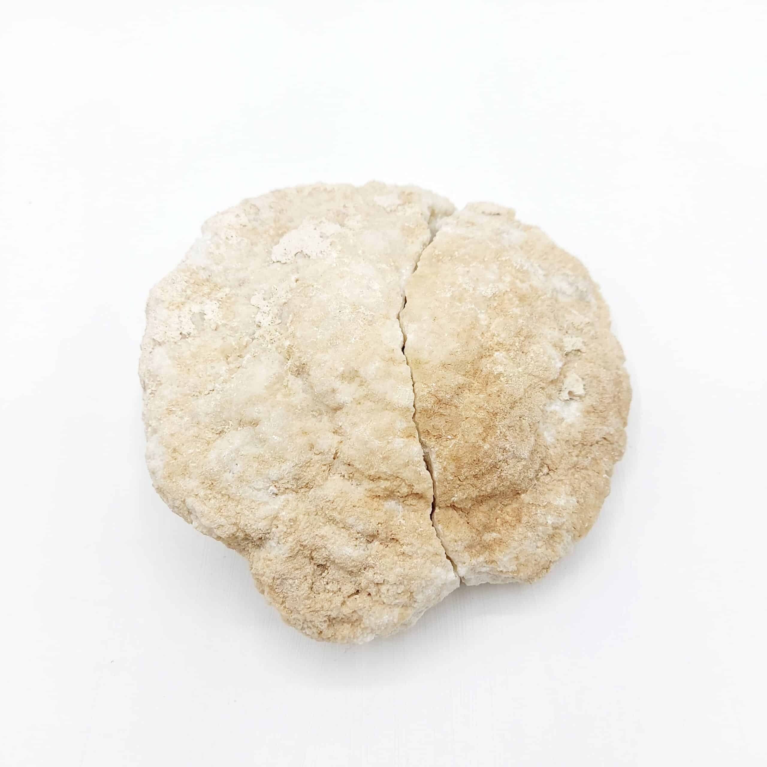 Célestine bleue dans géode de Célestine blanche, Tunisie.