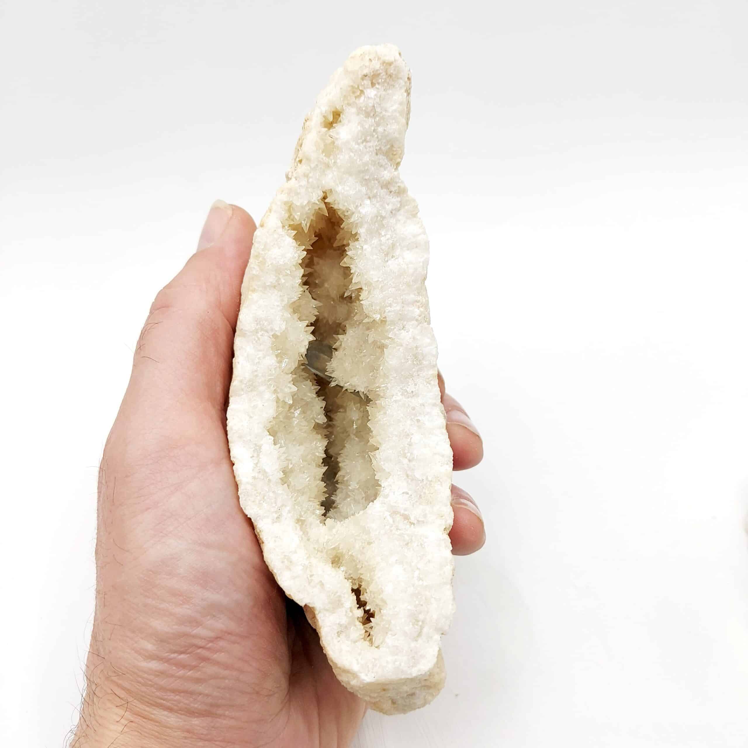 Célestine bleue dans géode de Célestine blanche, Tunisie.