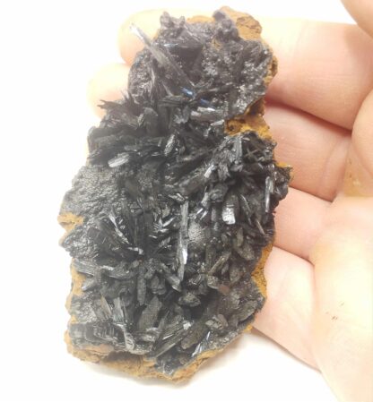 Vivianite, Kertch, Crimée, Ukraine.