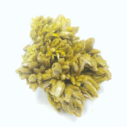 Pyromorphite, Mine des Farges, Ussel, Corrèze.