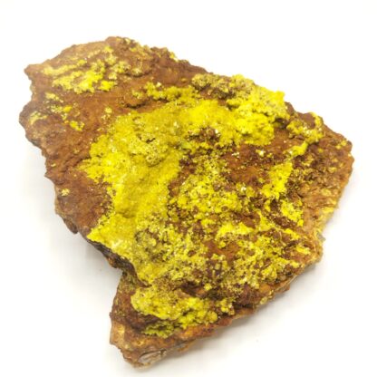 Autunite, Vénachat, Monts d’Ambazac, Haute-Vienne.