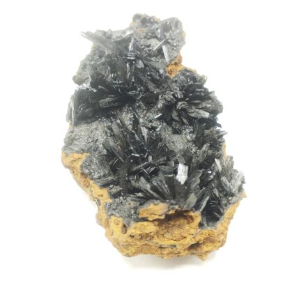 Vivianite, Kertch, Crimée, Ukraine.