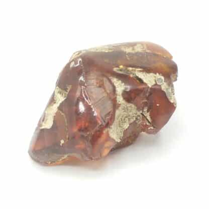 Ambre, Chevrières, Oise.