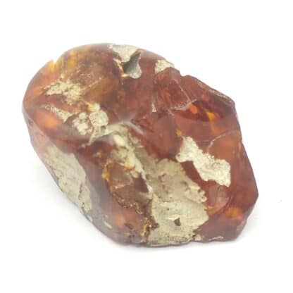 Ambre, Chevrières, Oise.