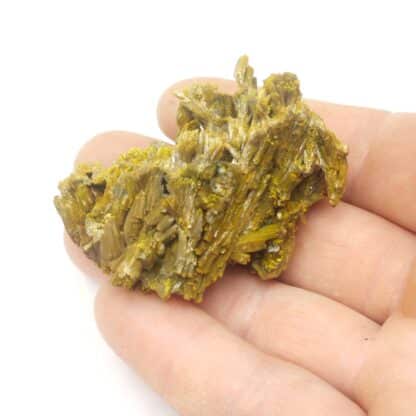 Pyromorphite, Mine des Farges, Ussel, Corrèze.