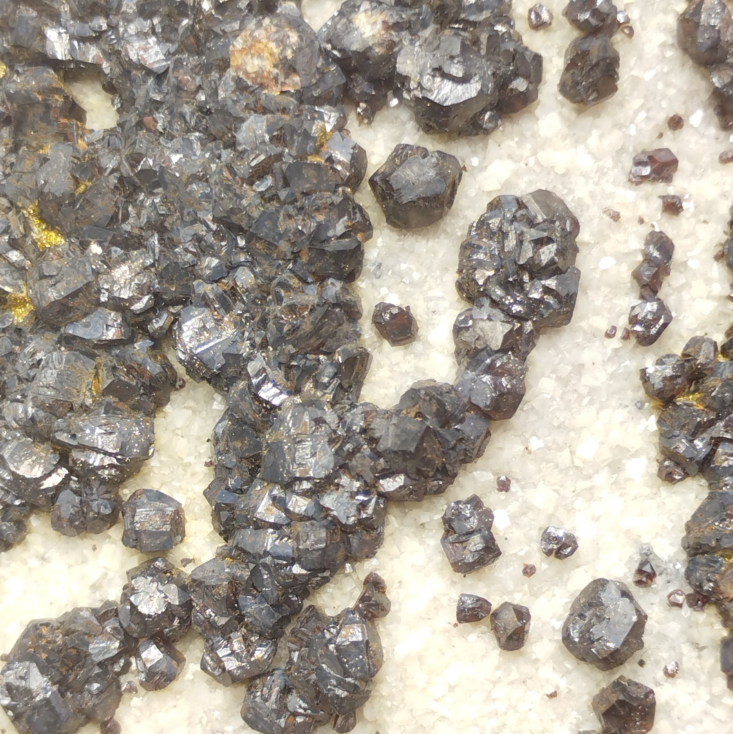 Sphalérite (Blende), Les Petits Caous, Saint-Raphaël, Var.