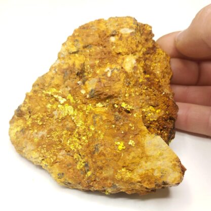 Autunite, Vénachat, Monts d’Ambazac, Haute-Vienne.