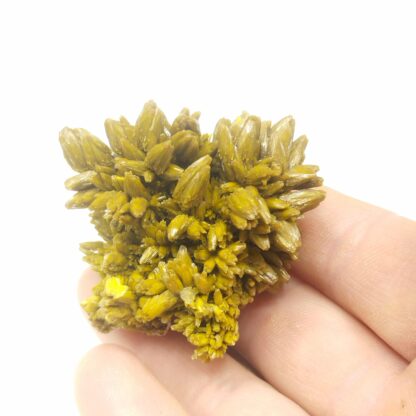 Pyromorphite, Mine des Farges, Ussel, Corrèze.