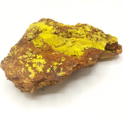 Autunite, Vénachat, Monts d’Ambazac, Haute-Vienne.