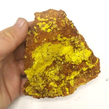 Autunite, Vénachat, Monts d’Ambazac, Haute-Vienne.