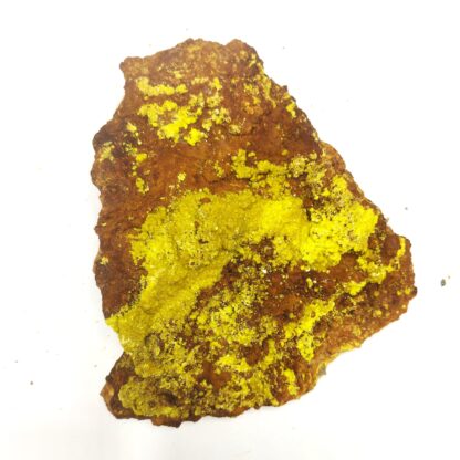 Autunite, Vénachat, Monts d’Ambazac, Haute-Vienne.