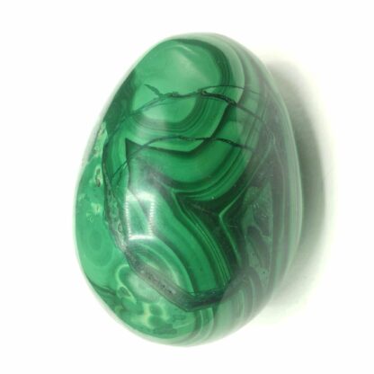Œuf en Malachite, République Démocratique du Congo (Congo RDC).