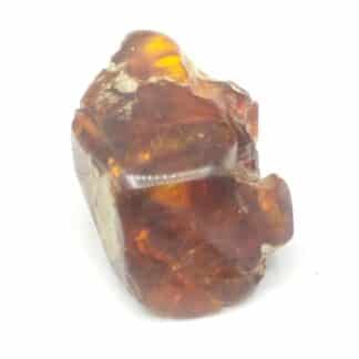 Ambre, Chevrières, Oise.