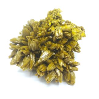 Pyromorphite, Mine des Farges, Ussel, Corrèze.