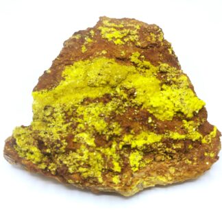 Autunite, Vénachat, Monts d’Ambazac, Haute-Vienne.