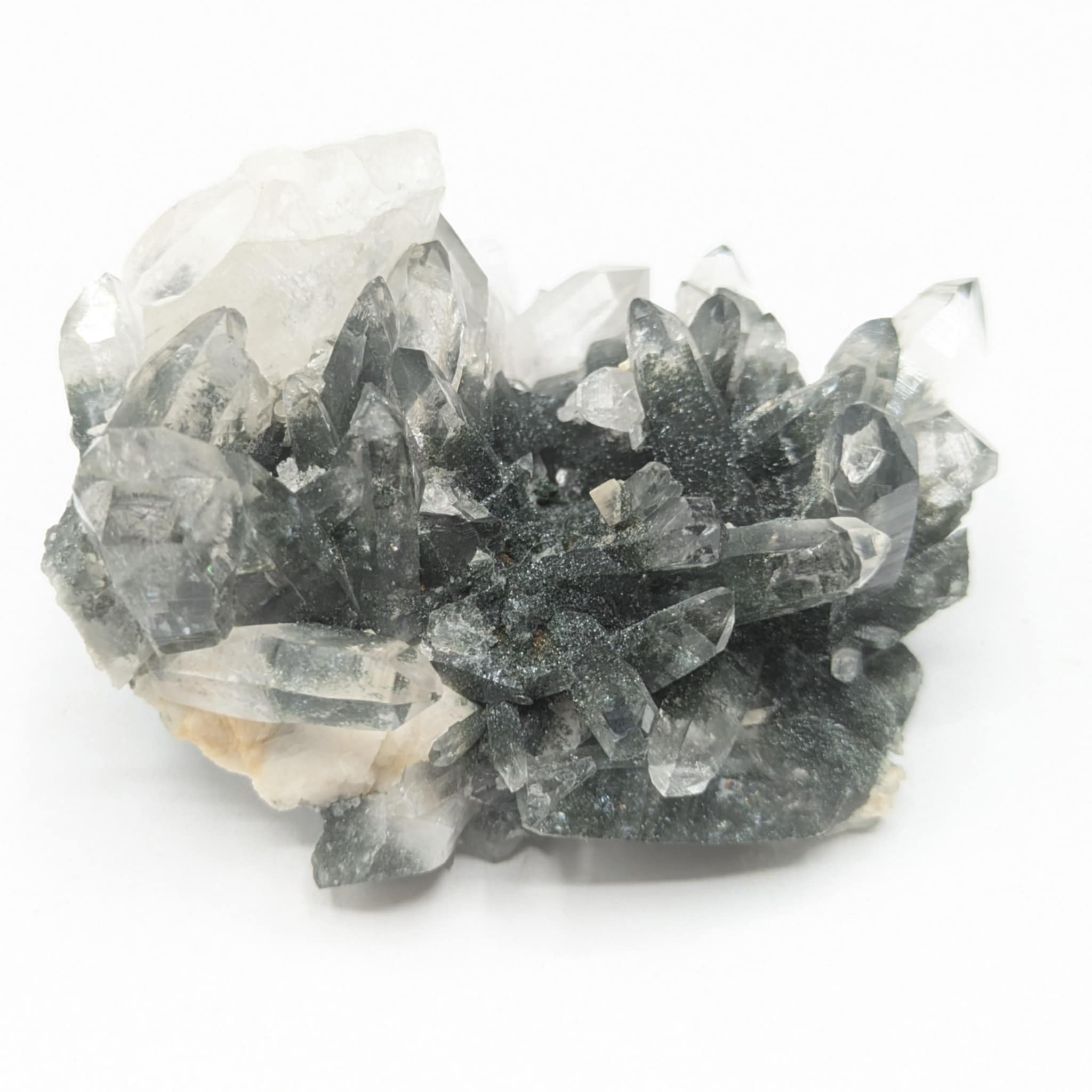 Quartz chloriteux, Le Grand Châtelard, Saint-Jean-de-Maurienne, Savoie.